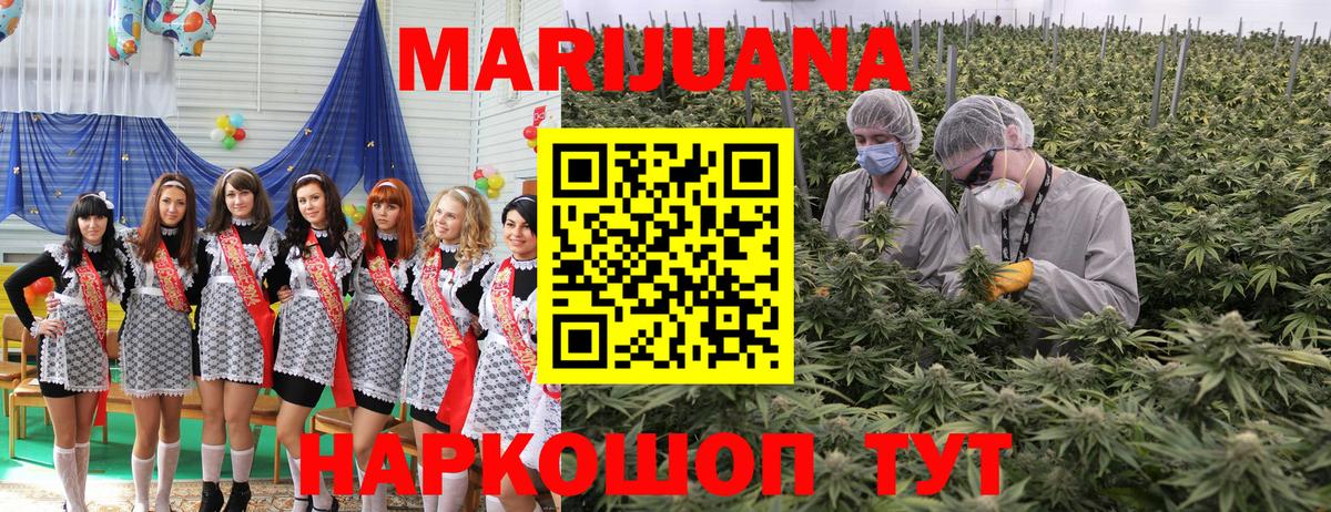 Бошки Шишки сатива Котельники